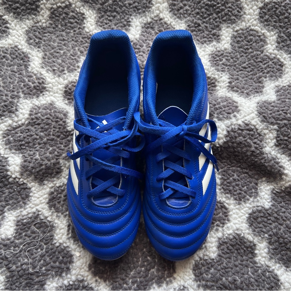 Adidas Blue Soccer Cleats
